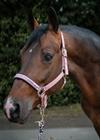 Halster Schockemöhle Memphis II Roze
