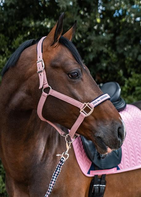 Halster Schockemöhle Memphis II Roze