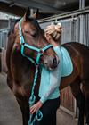 Halster Schockemöhle Memphis II Turquoise
