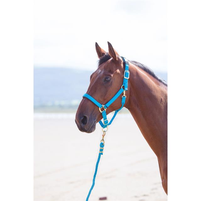 Halster Shires Nylon Topaz Blauw