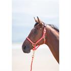 Halster Shires Nylon Topaz Oranje