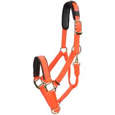 Halster Shires Nylon Topaz Oranje