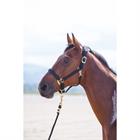 Halster Shires Nylon Topaz Zwart