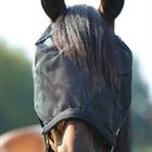 Halster Vliegenmasker Combi Horsegear Zwart