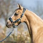 Halsterset BR Mini Horse Donkerblauw