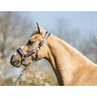Halsterset BR Mini Horse Paars