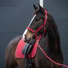 Halsterset Epplejeck EJValentine Rood