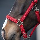 Halsterset Epplejeck EJValentine Rood