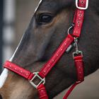 Halsterset Epplejeck EJValentine Rood