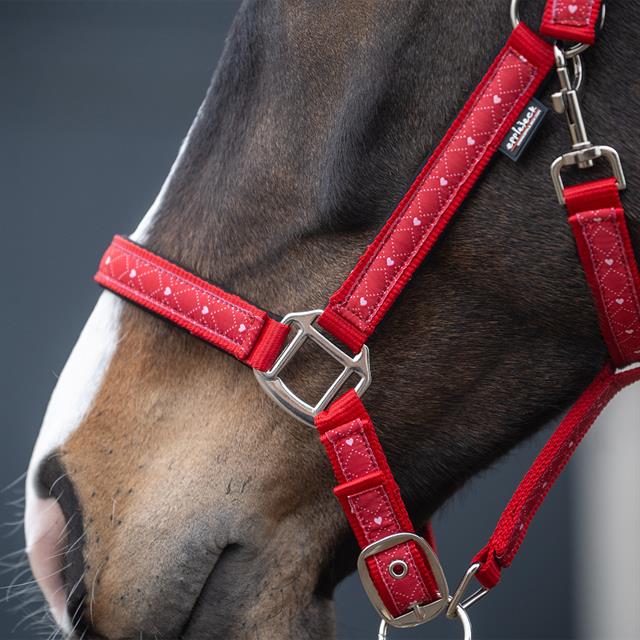 Halsterset Epplejeck EJValentine Rood