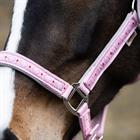 Halsterset Epplejeck EJValentine Roze