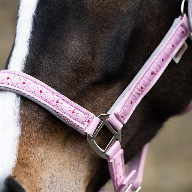 Halsterset Epplejeck EJValentine Roze