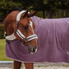 Halsterset Equestrian Stockholm Orchid Bloom Paars