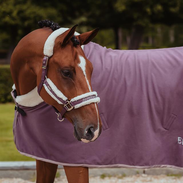 Halsterset Equestrian Stockholm Orchid Bloom Paars