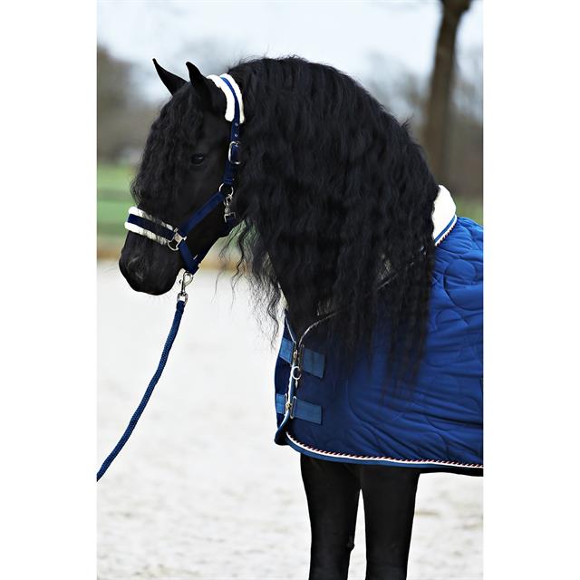 Halsterset Friesian Horse By Horsegear Donkerblauw