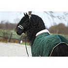 Halsterset Friesian Horse By HORSEGEAR Donkergroen