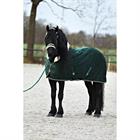 Halsterset Friesian Horse By HORSEGEAR Donkergroen