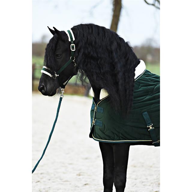Halsterset Friesian Horse By HORSEGEAR Donkergroen
