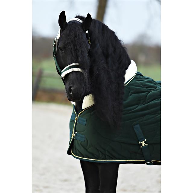 Halsterset Friesian Horse By HORSEGEAR Donkergroen