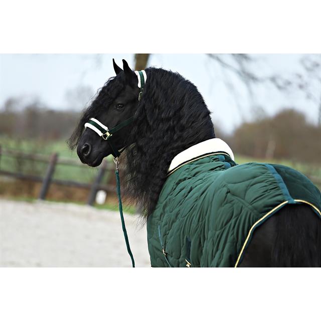 Halsterset Friesian Horse By HORSEGEAR Donkergroen
