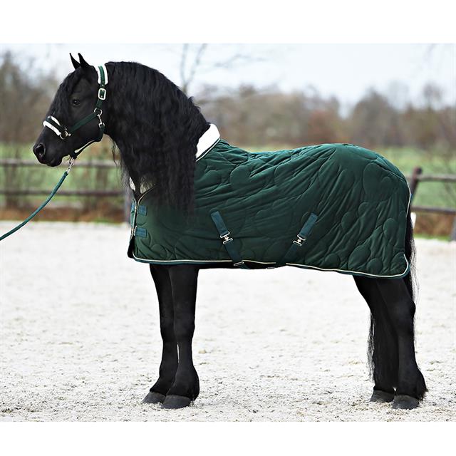 Halsterset Friesian Horse By HORSEGEAR Donkergroen