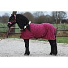 Halsterset Friesian Horse By HORSEGEAR Donkerrood