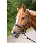 Halsterset Harry's Horse Denici Cavalli Shadow Donkergrijs