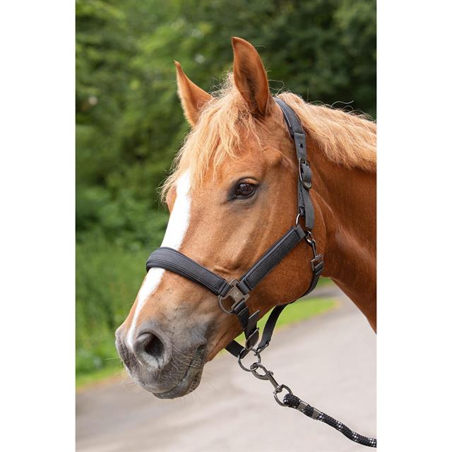 Halsterset Harry's Horse Denici Cavalli Shadow Donkergrijs