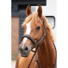 Halsterset Harry's Horse Denici Cavalli Shadow Satin Bruin-grijs