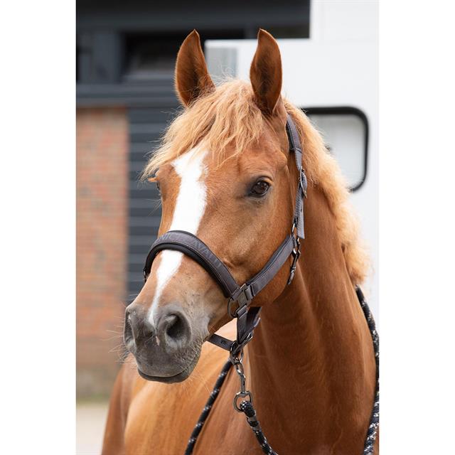 Halsterset Harry's Horse Denici Cavalli Shadow Satin Bruin-grijs