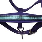 Halsterset Harry's Horse Diva Violet Donkerpaars