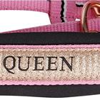 Halsterset Harry's Horse Mare Roze