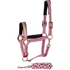 Halsterset Harry's Horse Mare Roze
