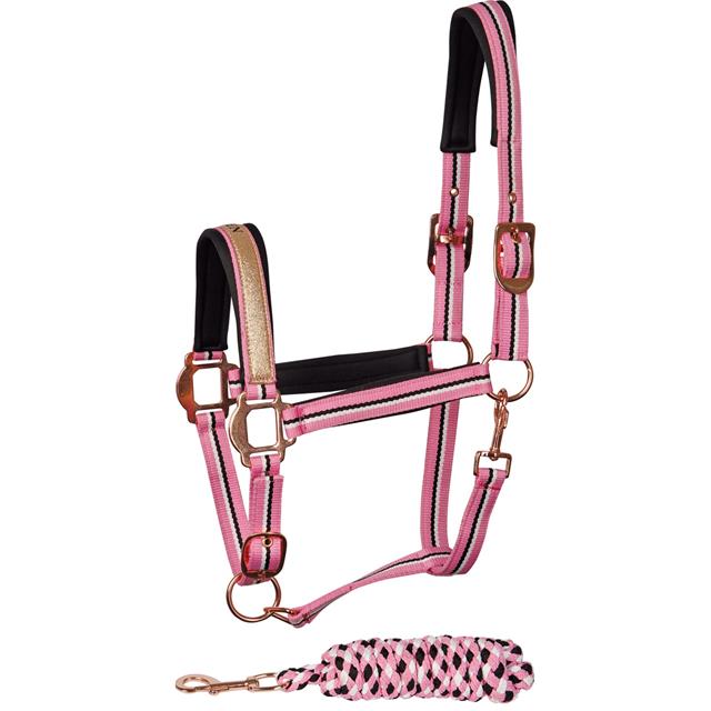 Halsterset Harry's Horse Mare Roze