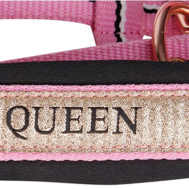 Halsterset Harry's Horse Mare Roze