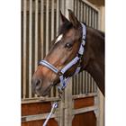 Halsterset Harry's Horse Samara Paars