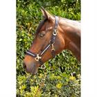 Halsterset Harry's Horse Valli Donkerblauw