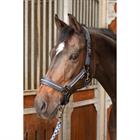 Halsterset Harry's Horse Valli Grijs