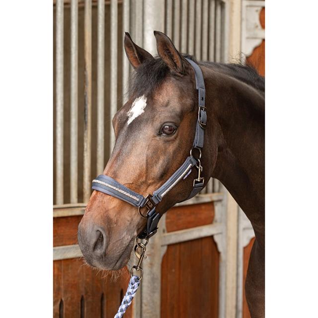Halsterset Harry's Horse Valli Grijs