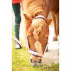 Halsterset Harry's Horse Valli Roze