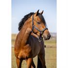 Halsterset HORSEGEAR HGCroco Donkerblauw