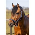 Halsterset HORSEGEAR HGCroco Donkerblauw