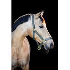 Halsterset HORSEGEAR HGCroco Groen