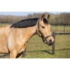Halsterset HORSEGEAR HGCroco Groen