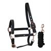 Halsterset HORSEGEAR HGCroco Zwart