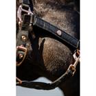 Halsterset HORSEGEAR HGCroco Zwart