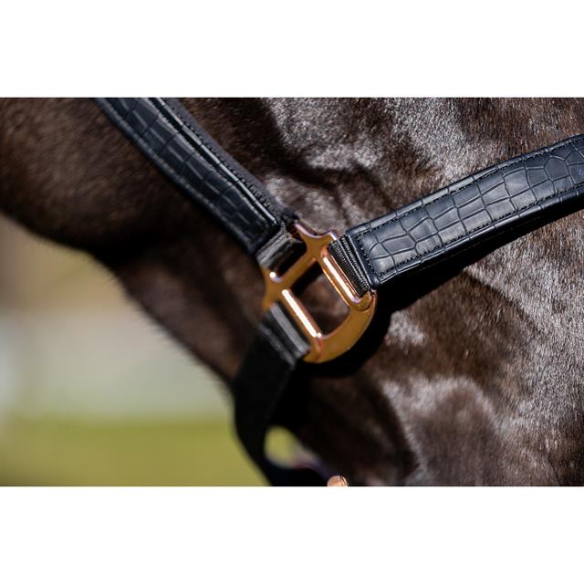 Halsterset HORSEGEAR HGCroco Zwart