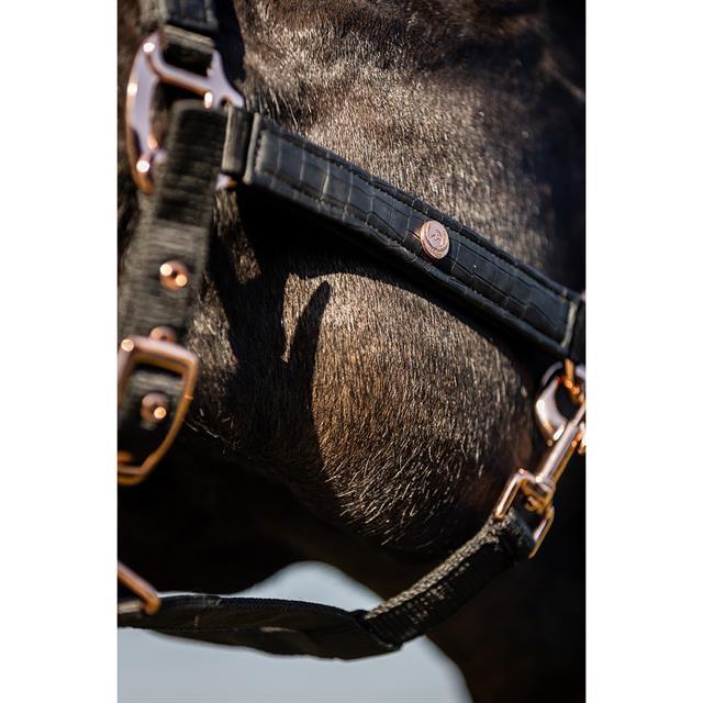 Halsterset HORSEGEAR HGCroco Zwart