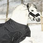 Halsterset HORSEGEAR HGLimited Edition Glitter Zwart-zilver