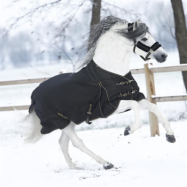 Halsterset Horsegear Limited Edition Glitter Zwart-goud